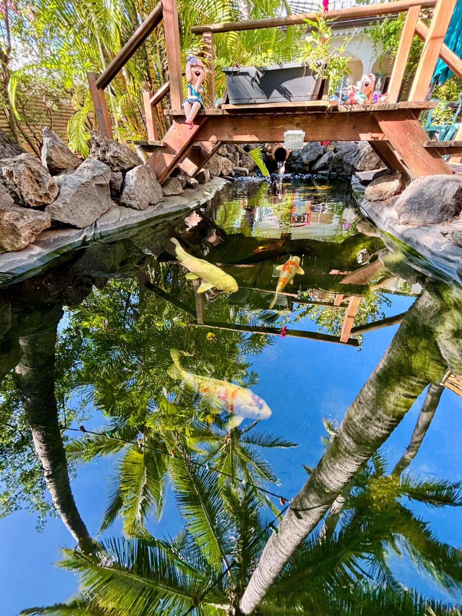 Hotel Coco Island Saint-Gilles Les Bains Zewnętrze zdjęcie